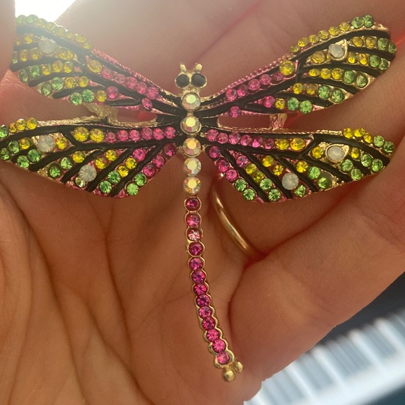 Colorful Dragonfly Brooch - Picture 5 of 7